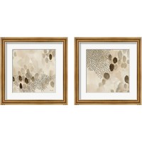 Framed Natural Abstract 2 Piece Framed Art Print Set