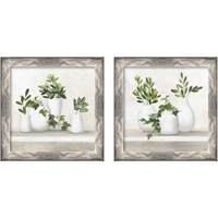 Framed 'Plant Life 2 Piece Framed Art Print Set' border=