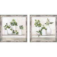 Framed 'Plant Life 2 Piece Framed Art Print Set' border=