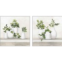 Framed Plant Life 2 Piece Art Print Set