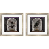 Framed Apothecary Noir 2 Piece Framed Art Print Set