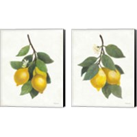 Framed 'Lemon Branch 2 Piece Canvas Print Set' border=
