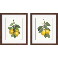 Framed 'Lemon Branch 2 Piece Framed Art Print Set' border=