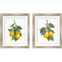 Framed 'Lemon Branch 2 Piece Framed Art Print Set' border=