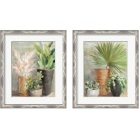 Framed 'Indoor Garden 2 Piece Framed Art Print Set' border=