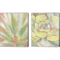 Framed Succulent Bloom 2 Piece Canvas Print Set