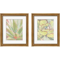 Framed Succulent Bloom 2 Piece Framed Art Print Set