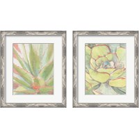 Framed Succulent Bloom 2 Piece Framed Art Print Set