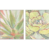Framed Succulent Bloom 2 Piece Art Print Set