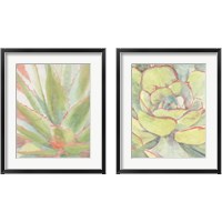 Framed 'Succulent Bloom 2 Piece Framed Art Print Set' border=