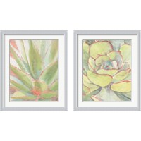 Framed Succulent Bloom 2 Piece Framed Art Print Set
