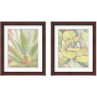 Framed Succulent Bloom 2 Piece Framed Art Print Set