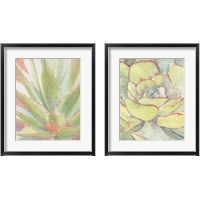 Framed 'Succulent Bloom 2 Piece Framed Art Print Set' border=