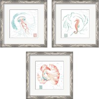 Framed Delicate Sea 3 Piece Framed Art Print Set