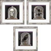 Framed 'Apothecary Noir 3 Piece Framed Art Print Set' border=