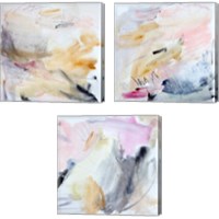 Framed 'Gestures 3 Piece Canvas Print Set' border=