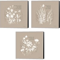 Framed 'Au Naturel 3 Piece Canvas Print Set' border=