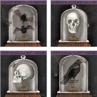 Framed Apothecary Noir 4 Piece Art Print Set