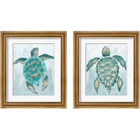 Framed 'Aquatic Turtle  2 Piece Framed Art Print Set' border=