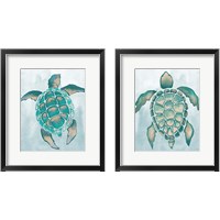 Framed 'Aquatic Turtle  2 Piece Framed Art Print Set' border=