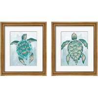 Framed 'Aquatic Turtle  2 Piece Framed Art Print Set' border=