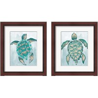 Framed Aquatic Turtle  2 Piece Framed Art Print Set