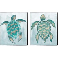 Framed 'Aquatic Turtle  2 Piece Canvas Print Set' border=