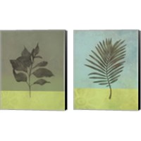 Framed 'Leaf 2 Piece Canvas Print Set' border=