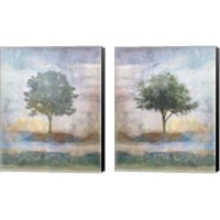 Framed 'Tree Collage 2 Piece Canvas Print Set' border=
