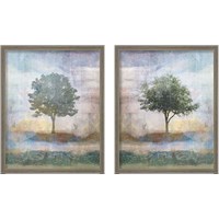 Framed 'Tree Collage 2 Piece Framed Art Print Set' border=