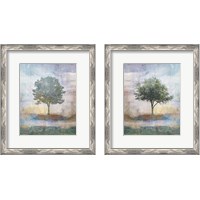 Framed 'Tree Collage 2 Piece Framed Art Print Set' border=