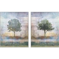 Framed 'Tree Collage 2 Piece Art Print Set' border=