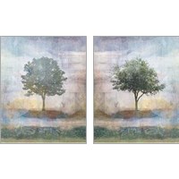 Framed Tree Collage 2 Piece Art Print Set