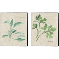 Framed 'Herbs on Burlap 2 Piece Canvas Print Set' border=