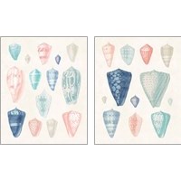 Framed 'Colorful Shell Assortment Coral Cove 2 Piece Art Print Set' border=