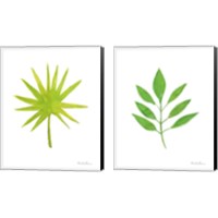 Framed 'Fresh and Green 2 Piece Canvas Print Set' border=