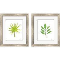 Framed Fresh and Green 2 Piece Framed Art Print Set