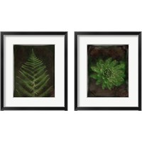 Framed 'Havana Leather and Lush 2 Piece Framed Art Print Set' border=