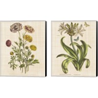 Framed 'Herbal Botany 2 Piece Canvas Print Set' border=
