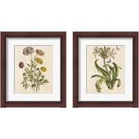 Framed 'Herbal Botany 2 Piece Framed Art Print Set' border=