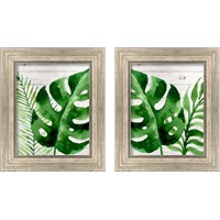 Framed Banana Leaf 2 Piece Framed Art Print Set