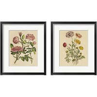 Framed Herbal Botany  2 Piece Framed Art Print Set