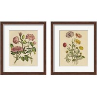 Framed 'Herbal Botany  2 Piece Framed Art Print Set' border=