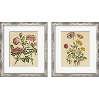 Framed 'Herbal Botany  2 Piece Framed Art Print Set' border=