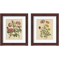 Framed 'Herbal Botany  2 Piece Framed Art Print Set' border=