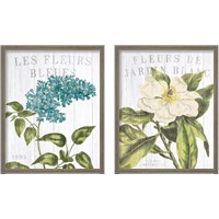 Framed 'Fleuriste Paris 2 Piece Framed Art Print Set' border=