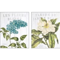 Framed 'Fleuriste Paris 2 Piece Art Print Set' border=