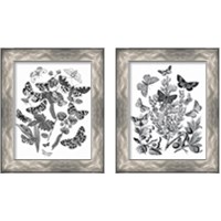 Framed 'Butterfly Bouquet 2 Piece Framed Art Print Set' border=