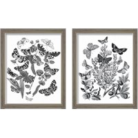 Framed 'Butterfly Bouquet 2 Piece Framed Art Print Set' border=