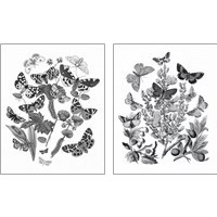 Framed 'Butterfly Bouquet 2 Piece Art Print Set' border=